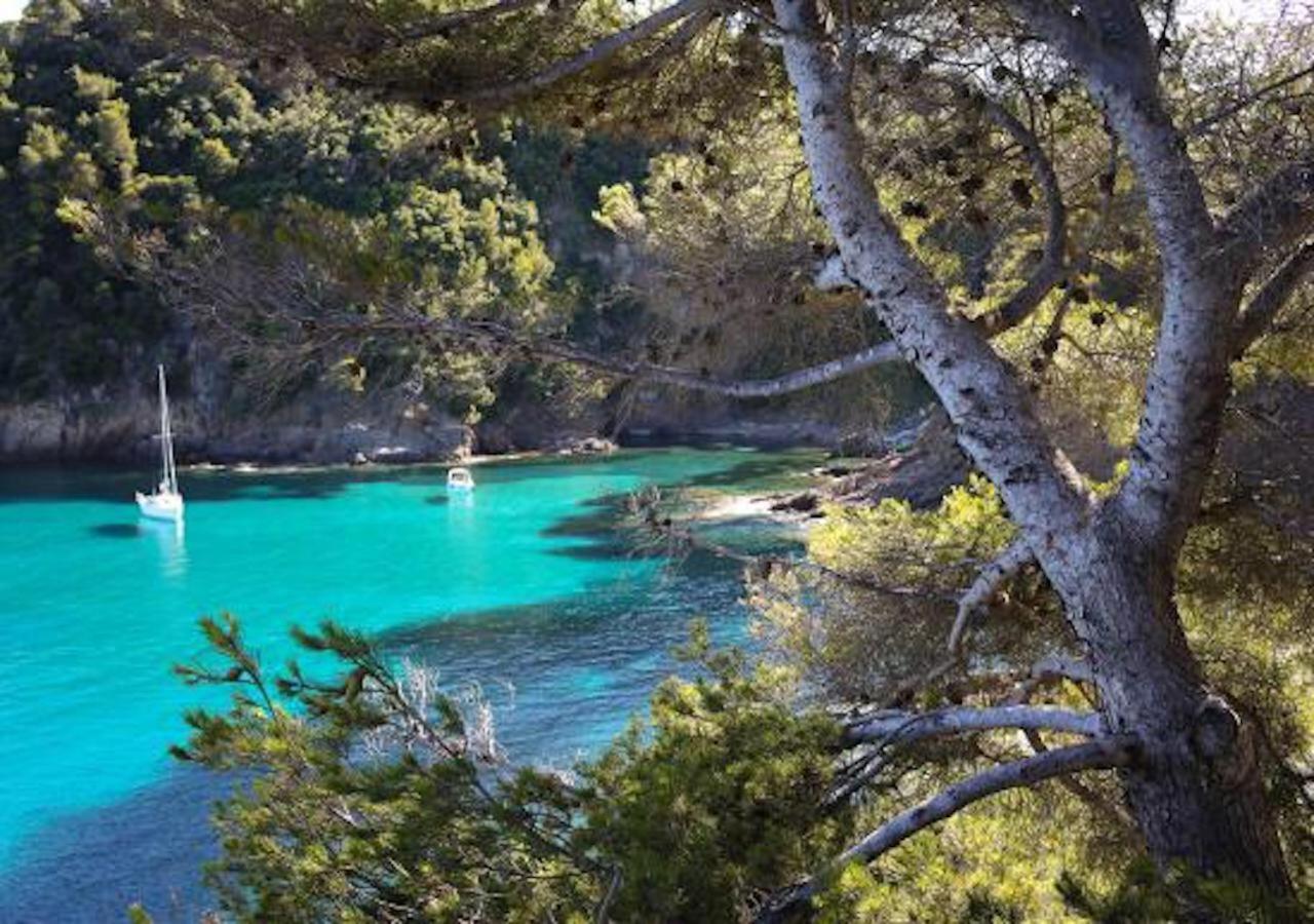 Studio 207-Les pieds dans l’eau à 30m de la plage Cavalaire-sur-Mer Esterno foto